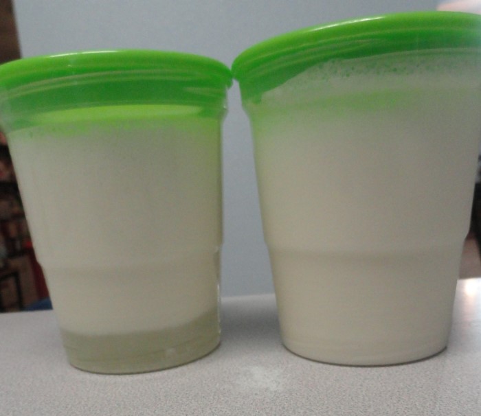 making-goat-milk-lotion